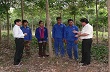 Ấm áp ân tình 